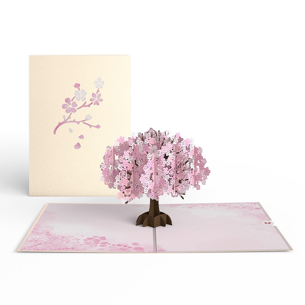 Amazon.com : Lovepop Everyday Pop-Up Card for Her and Him- 3D
